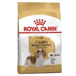 غذای خشک سگ رویال کنین مدل cavalier king charles adult وزن 1.5 کیلوگرم