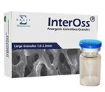 گرانول Sigma Graft - InterOss  1000-2000µm  8cc