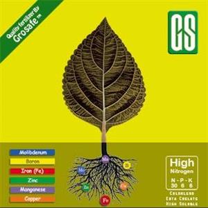 کود ان پی کی میکرو نیتروژن ( ۶-۶-۳۰ ) GS گرین سید کد 2047