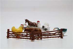 اسباب بازی حیوانات اهلی نیکو