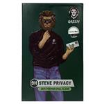 گلس گرین Green آیفون 12 پرو مکس مدل Steve Privacy