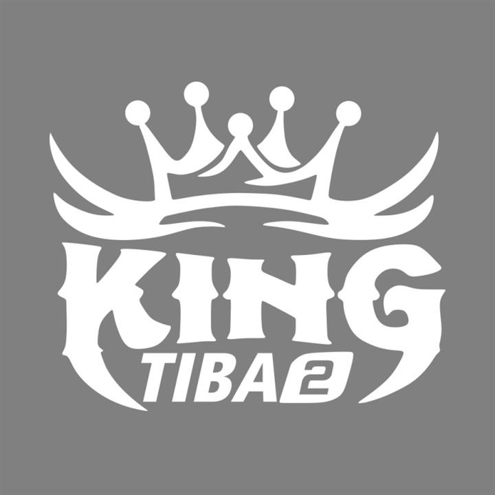 برچسب بدنه خودرو ماتریسیو طرح ماشین تیبا 2 King کد M226