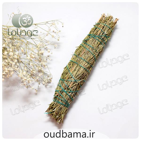 اسماج رزماری