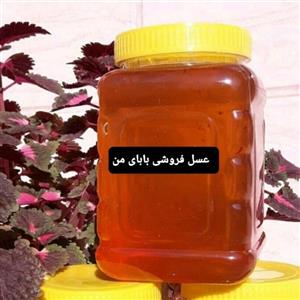 عسل مریم گلی 1کیلوگرمی شهدینه گلها