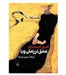 کتاب عشق در زمان وبا، بهمن فرزانه، انتشارات ققنوس 