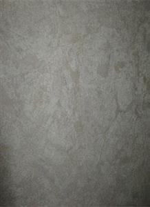 آلبوم کاغذدیواری فیلیپ پلین کد 2804