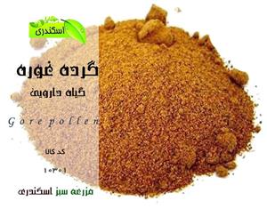 گرده غوره فله 