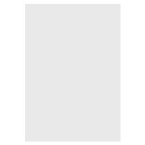کاغذ فیلیپ چارت سایز 60 × 90 بسته 100 عددی