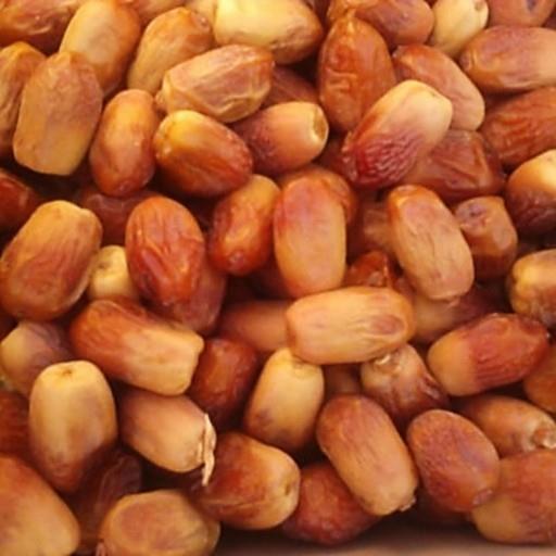 خرما زاهدی فله