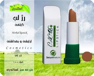 رژ لب گیاهی کاکتوس (دارای رنگبندی)