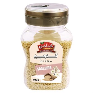 کنجد پوست کنده ضامن - 100 گرم