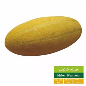 بذر خربزه خاتونی بذر طلایی رویان مدل BZTR-055