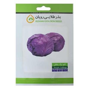 بذر کلم برگ بنفش بذر طلایی رویان مدل BZTR-074