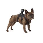 پایه نگه دارنده دوربین حیوانات گوپرو مدل Fetch Dog Harness