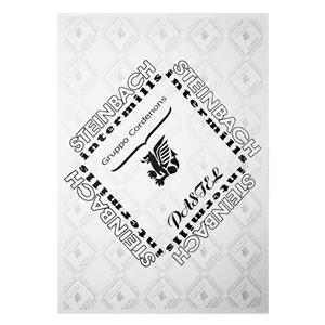 مقوا اشتنباخ کد 400 سایز 29.7x21 سانتی متر بسته 10 عددی