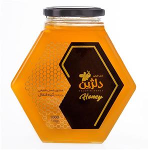 عسل قنقال دلژین 1000 گرم Delzhin Echinops honey gr 