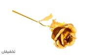 گل رز طلایی Golden Rose