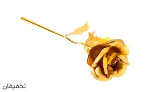 گل رز طلایی Golden Rose 