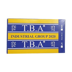 شیشه آینه جانبی چپ خودرو تی بی ای مدل T10-82030 مناسب برای سمند