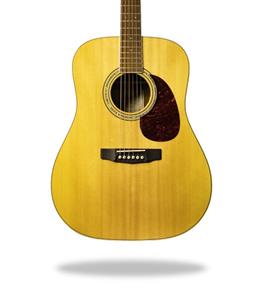 EARTH100 RW Cort - گیتار آکوستیک