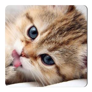مگنت طرح بچه گربه کد NIM406