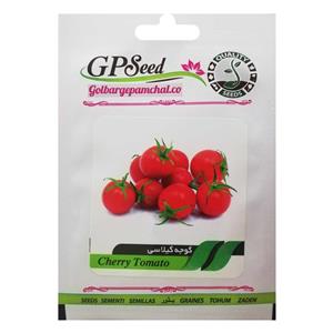 بذر گوجه گیلاسی گلبرگ پامچال کد GPF-163 
