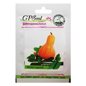 بذر کدو حلوایی گلبرگ پامچال کد GPF-124
