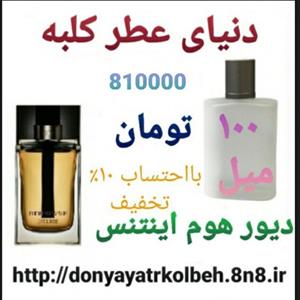 دیور هوم مردانه 100 میل 