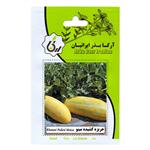 بذر خربزه کشیده مینو آرکا بذر ایرانیان کد ARK-168
