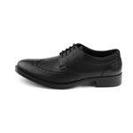 کفش مردانه دنیلی مدل Abtin-201070761001