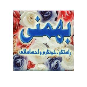 مگنت مدل بهمن کد 003