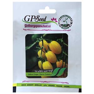 بذر گوجه چری زیتونی زرد گلبرگ پامچال کد GPF 199 