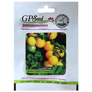 بذر گوجه گیلاسی زرد گلبرگ پامچال کد GPF-206 