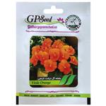 بذر گل بنفشه گل درشت نارنجی گلبرگ پامچال کد GPF-238