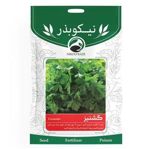 بذر گشنیز نیکوبذر کد 3588