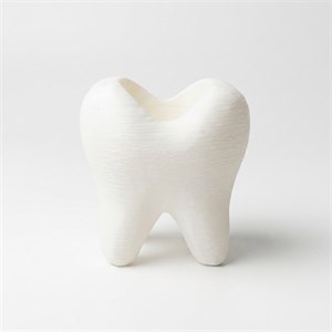 جامسواکی مدل tooth