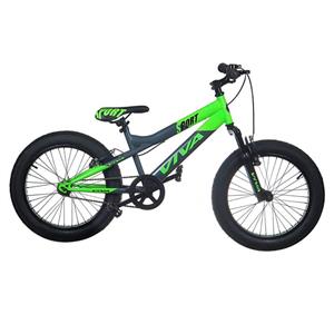 دوچرخه کورسی ویوا مدل AS20 سایز 20