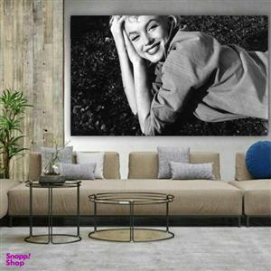تابلو شاسی طرح مرلین مونرو مدل TSH1959