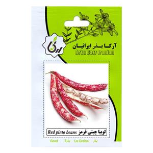 بذر لوبیا چیتی قرمز آرکا بذر ایرانیان کد 30-ARK 