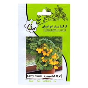 بذر گوجه گیلاسی زرد ارکا ایرانیان کد 97 ARK 