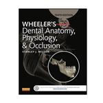 کتاب WHEELER’S Dental Anatomy, Physiology, and Occlusion، اثر Stanley J. Nelson انتشارات مؤلفین طلایی