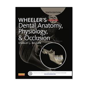 کتاب WHEELER’S Dental Anatomy Physiology and Occlusion، اثر Stanley J. Nelson انتشارات مؤلفین طلایی 