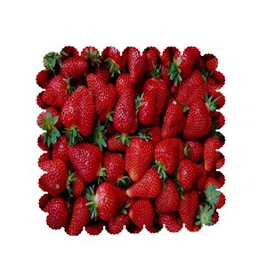 رومیزی طرح توت فرنگی کد 6365B