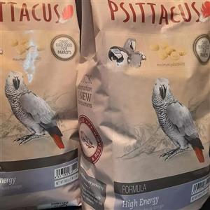 پلت طوطی سانان سیتاکوس مدل انرژی وزن 800 گرم