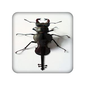 زیر لیوانی طرح سوسک کد 981