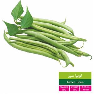 بذر لوبیا سبز بذر طلایی رویان مدل BZTR-082