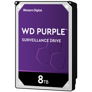 هارد دیسک وسترن دیجیتال Western Digital HDD Purple 8TB Western Digital RE Gold 8TB Datacenter Capacity HDD