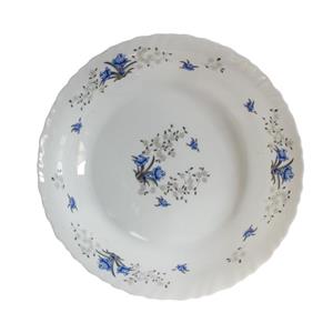 دیس پارس اُپال مدل M120  بسته 4 عددی