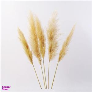 گل خشک پامپاس مدل AG101 بسته 5 عددی