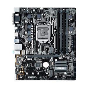 Asus b250m 2025